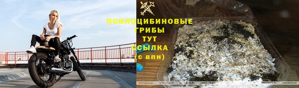 прущие грибы Пестово