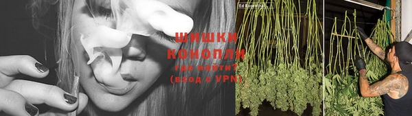 молекула духа Переславль-Залесский