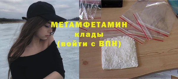 прущие грибы Пестово