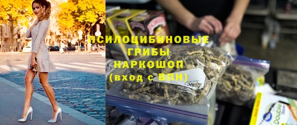 молекула духа Переславль-Залесский