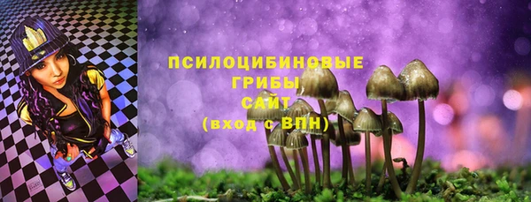герыч Пересвет