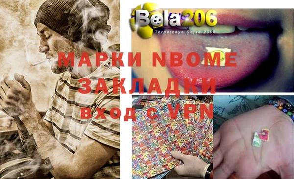 прущие грибы Пестово