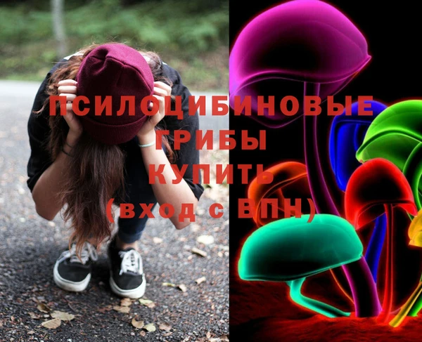 прущие грибы Пестово
