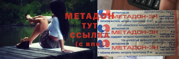 прущие грибы Пестово