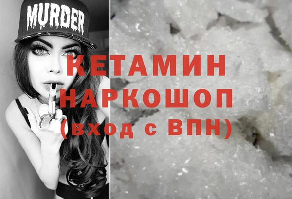 прущие грибы Пестово