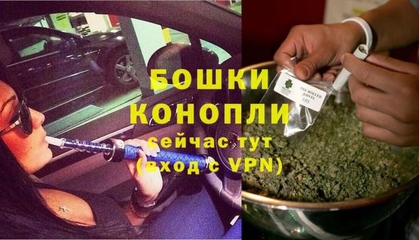 прущие грибы Пестово