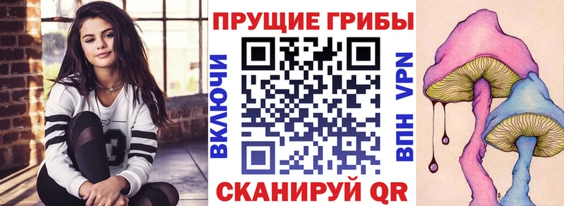 даркнет сайт Струнино Псилоцибиновые грибы Psilocybe